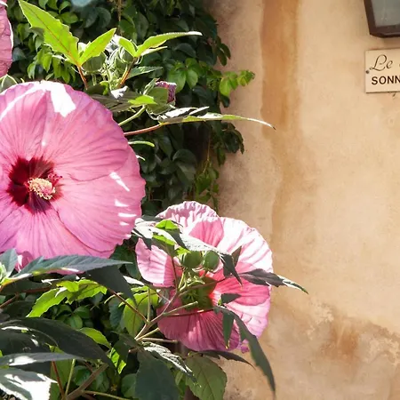 Hotel Le Clos Du Buis